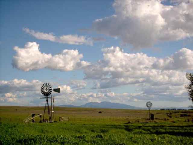 (c) 2006 Kenneth Bankston